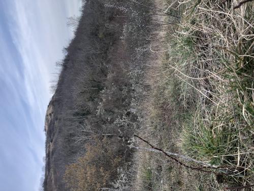 Tour de Courcourt [12-02-2022](IMG_4312).jpg